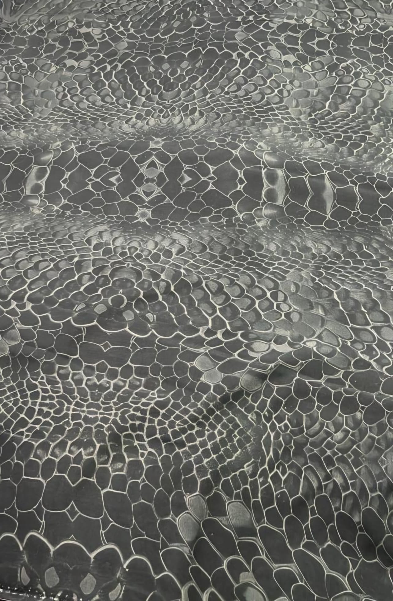 Herren Shirt aus 100 % Bambus "SNAKE Grey'' – Bild 2